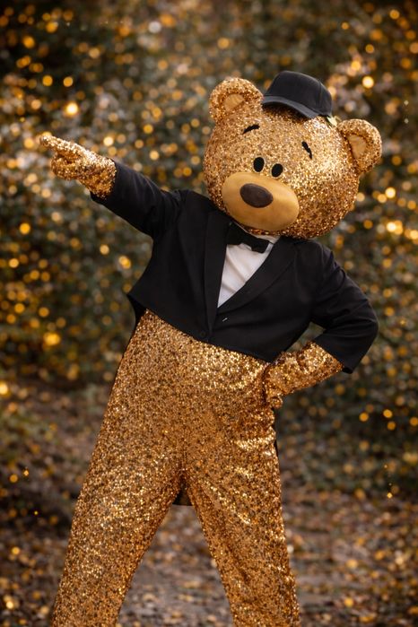 Аниматор мишка. Прокат