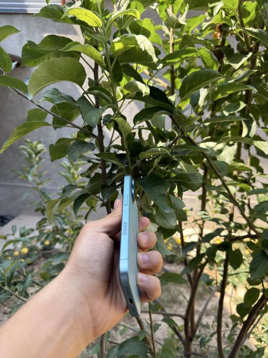 Iphone 16 ozi sotiladi