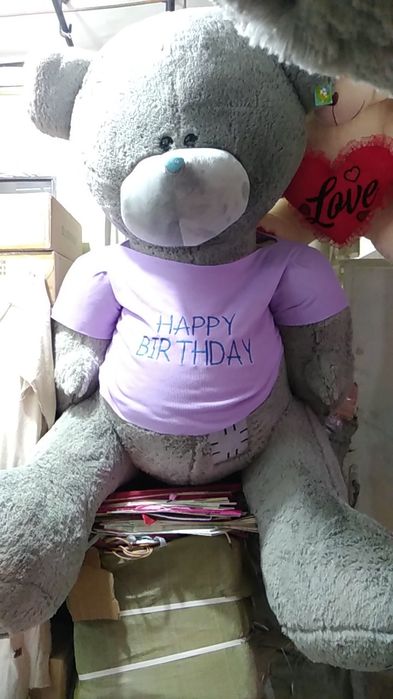 Teddy Teddi va Boshqa Xar Hil Yumshoq O'yinchoqlar