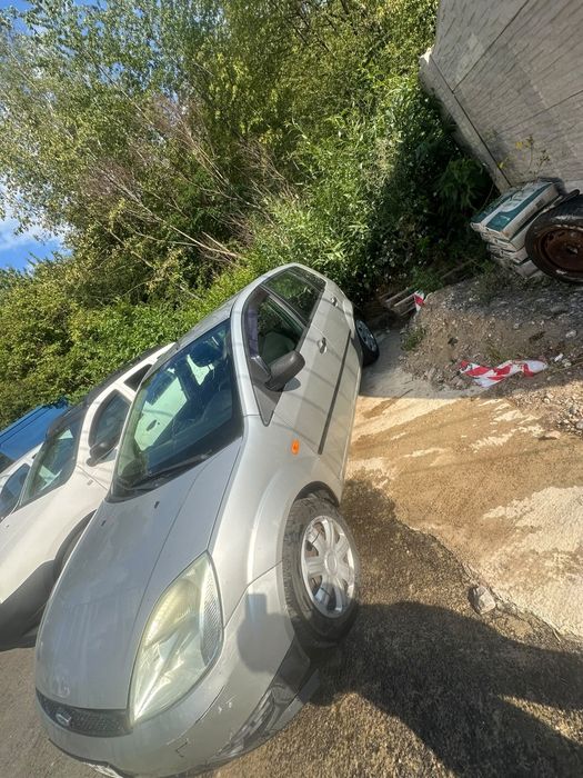 Vand Ford Fiesta