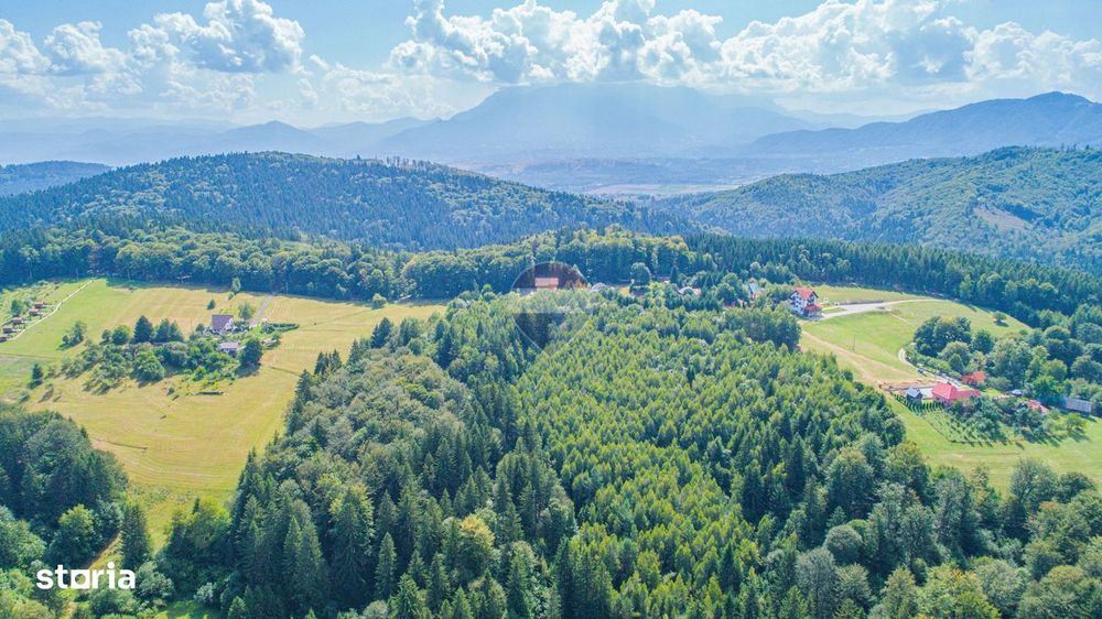 Teren extravilan Poiana Marului 1095mp, inconjurat de padure