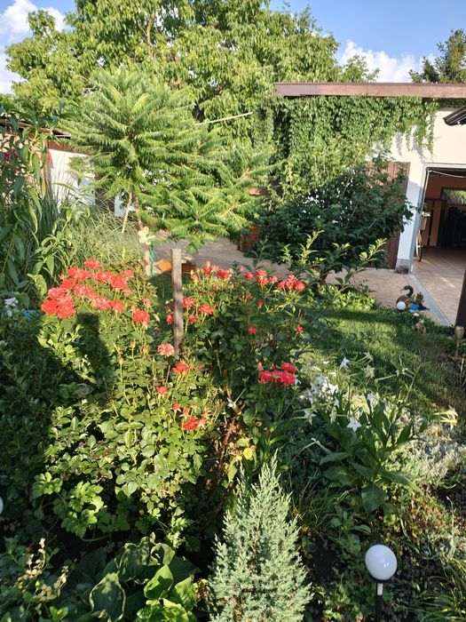 Vând casă în Dumbrăvița