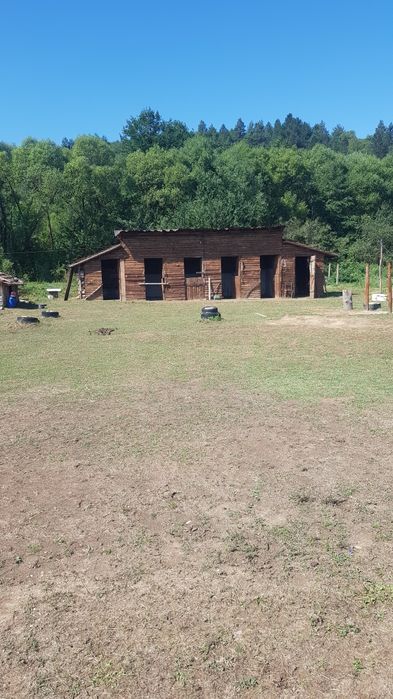 Продава се Хотел в с. Раненци, Област Кюстендил - 13000 кв.м за 13 €/кв.м - Снимка #4