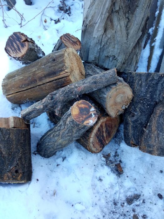 Продам дрова чурками напилины