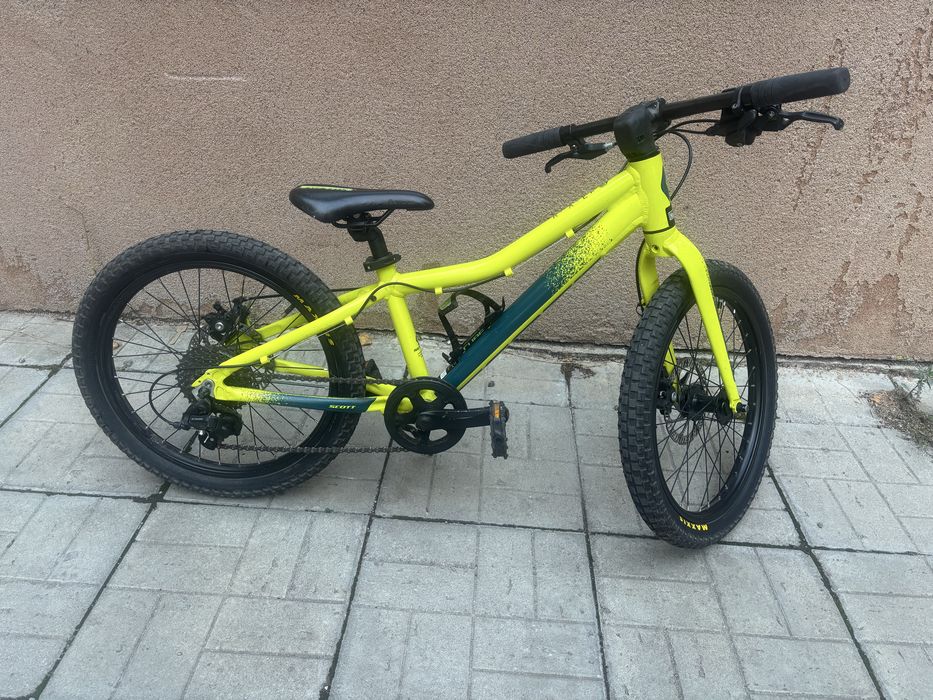 Scott Roxter 20”