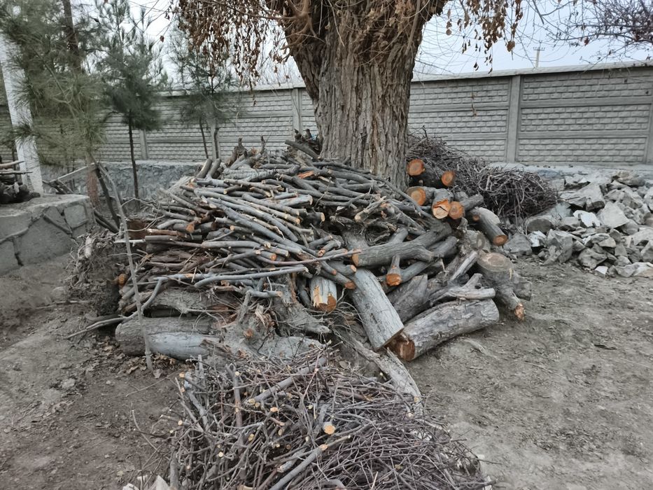 Bir ISUZU yuk moshin o'tin va kunda bor. Narxi 3 mln (bo'lishi shu).