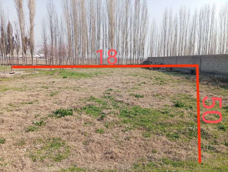 Mamut UY yer sotiladi