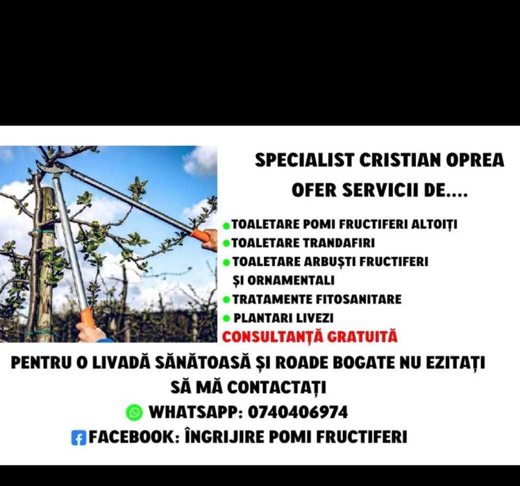 Toaletari pomi fructiferi