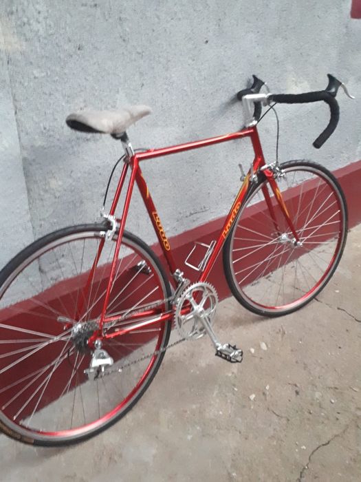 Cursieră LUDO Belgia-clasică
