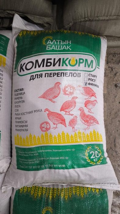 Для перепёлок рост