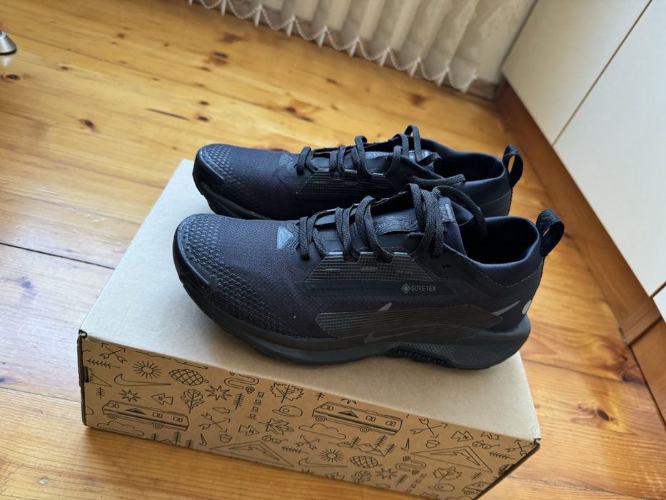 Nike Pegasus Trail 5 Gore-Tex