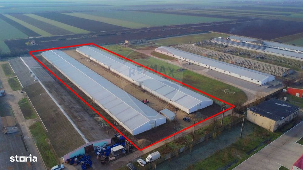 De închiriat -2 hale industriale, 5.050 mp utili, Palota , acces TIR