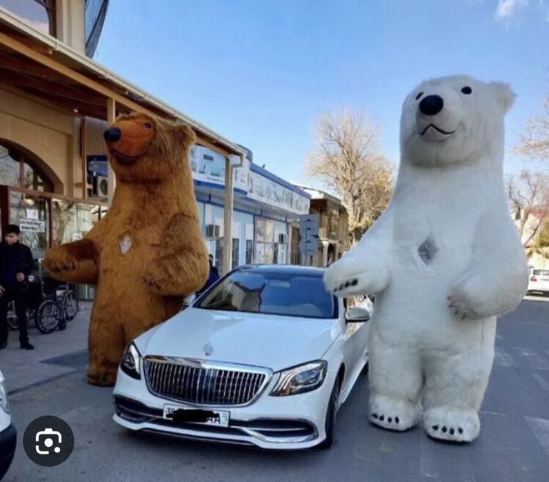 Ayiqchalar xizmati
Ayiqjonlar guruhiga hush kelibsiz
*OFORM