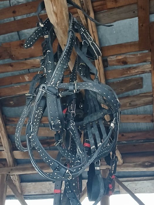 Ham nou de vânzare 1,40 cm piept