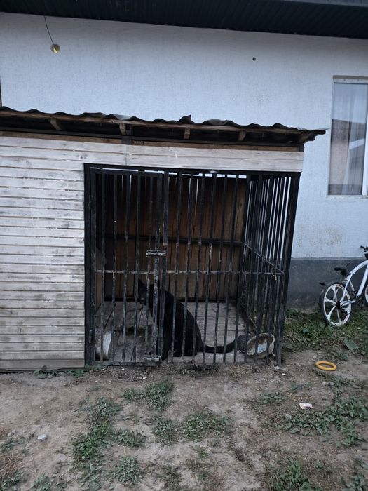 Продам вольер 125000