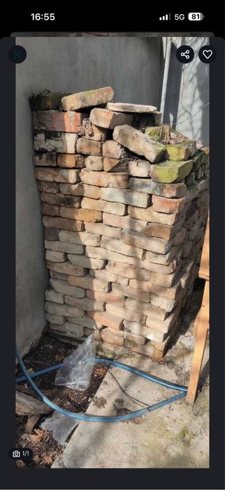 gisht pishgan bu tekinga