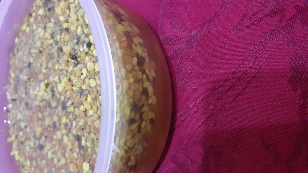 Polen crud de albine