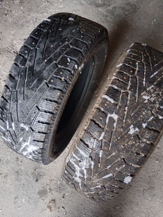 Шины зимние nexen