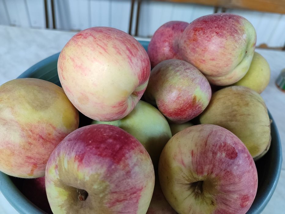 Продам дачу, без долгов