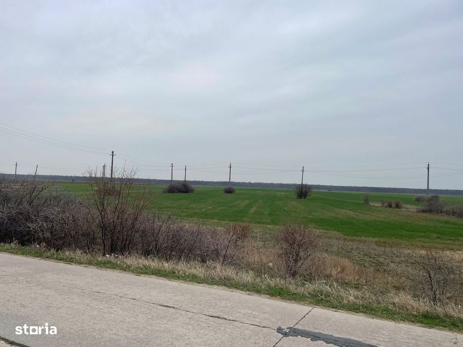 Giurgiu-Bolintin-Marsa 8.5 HA