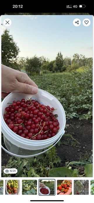 Продам дачу , земельный участок 9 соток