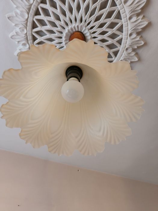 Два красиви полилея