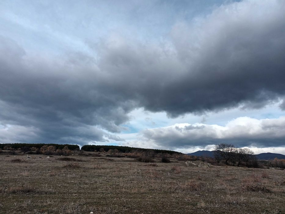 Продава се Къща в с. Рогачево, Област Добрич - 700 кв.м за 66 €/кв.м - Снимка #2