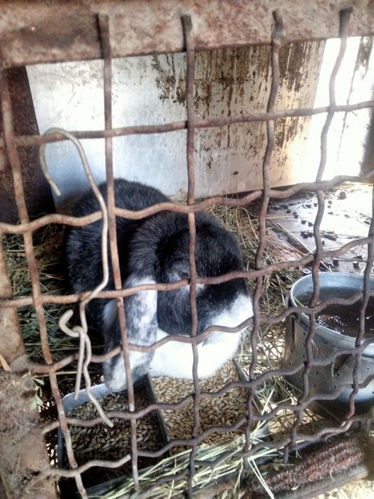 Маленькие средние большие