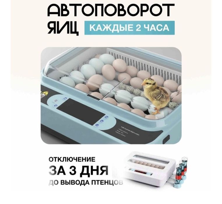 Инкубатор автоматически