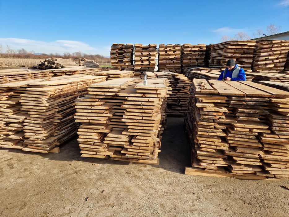 Cherstea stejar si fag