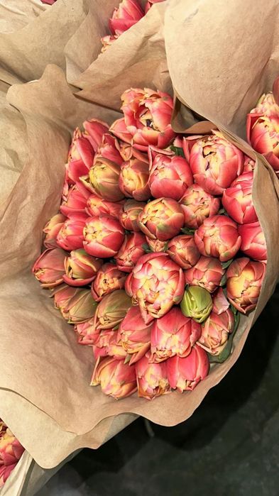 Продам цветы на 8 марта