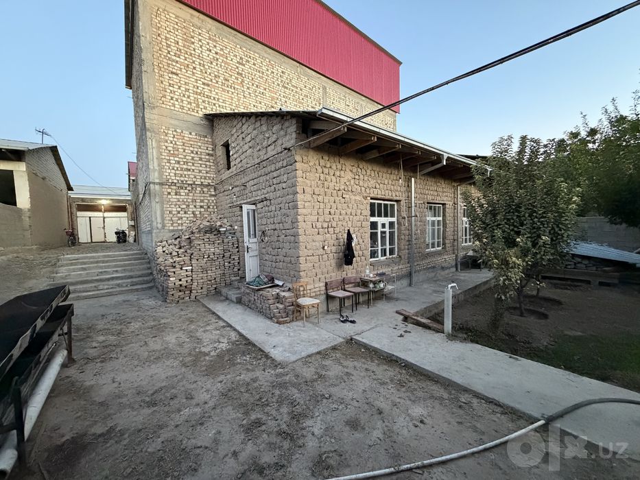 Мотрит лакатор чойхона