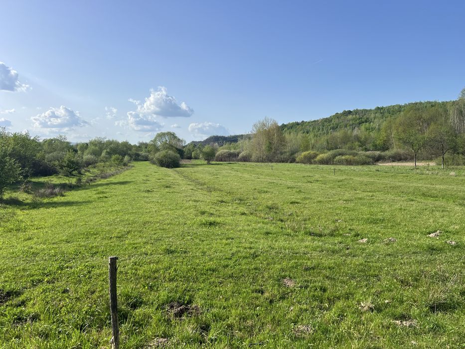 case la tara + teren de 13.000 mp