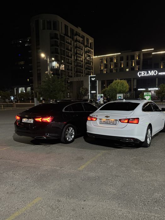 Rent car прокат авто