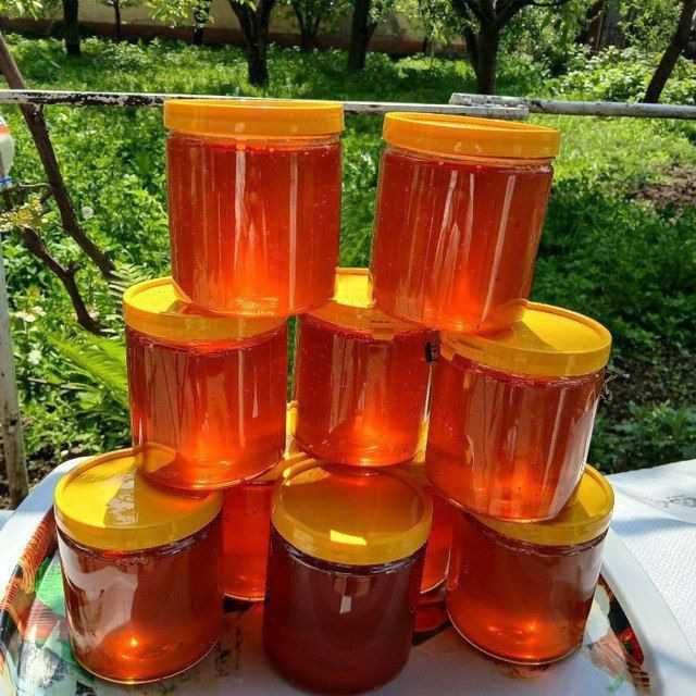 Tozza Tog asali eng tozz shifobaxsh