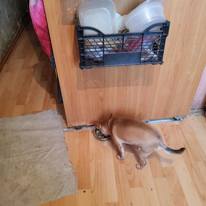 Дверь на колёсах  1000 тг