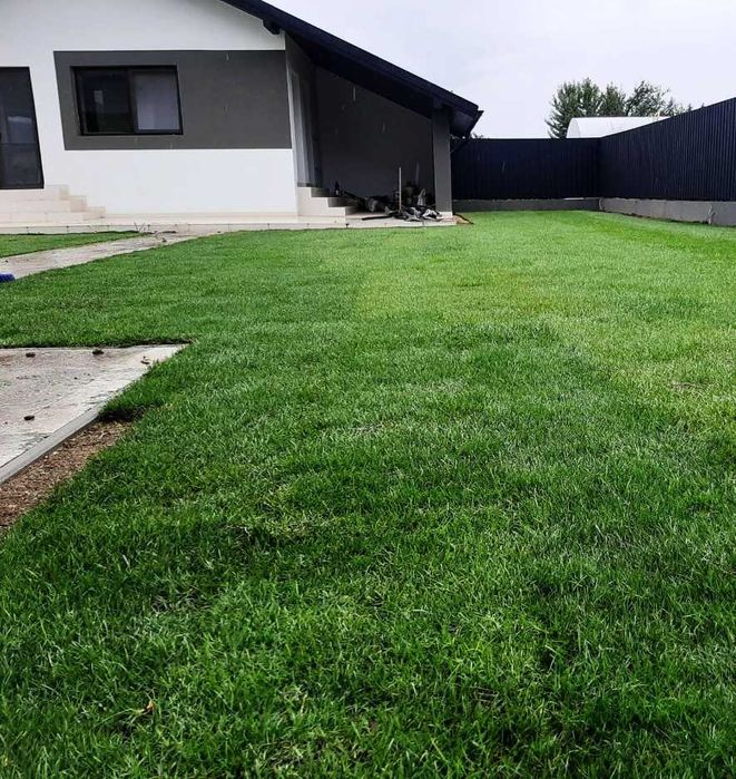 Gazon Natural cu Aspect Verde Impecabil