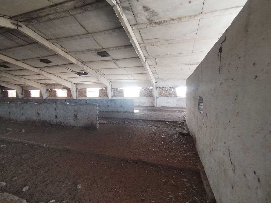 Мал ферма сатылады, яки арендага бериледи