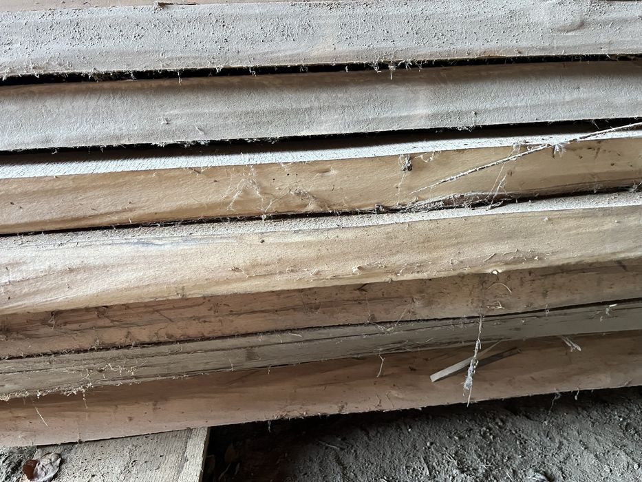 Dulapi uscati din tei