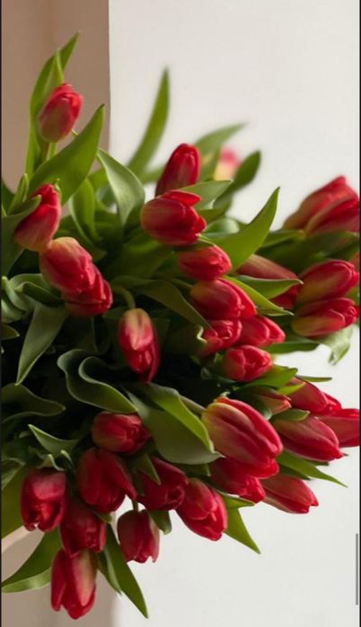 Букеты, цветы, тюльпаны по 400шт в розницу