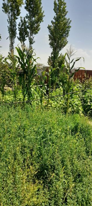 Жилой участок в центре города