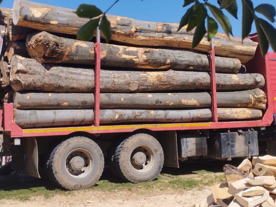 Lemne de foc fag capete uscate sau verzi 600lei tona sau la metru ster