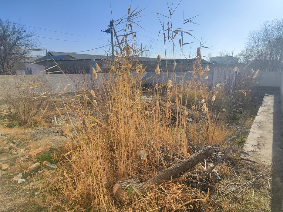 Eski shahar azamatda joylashgan yulni ustida styanka bor orqasida yer