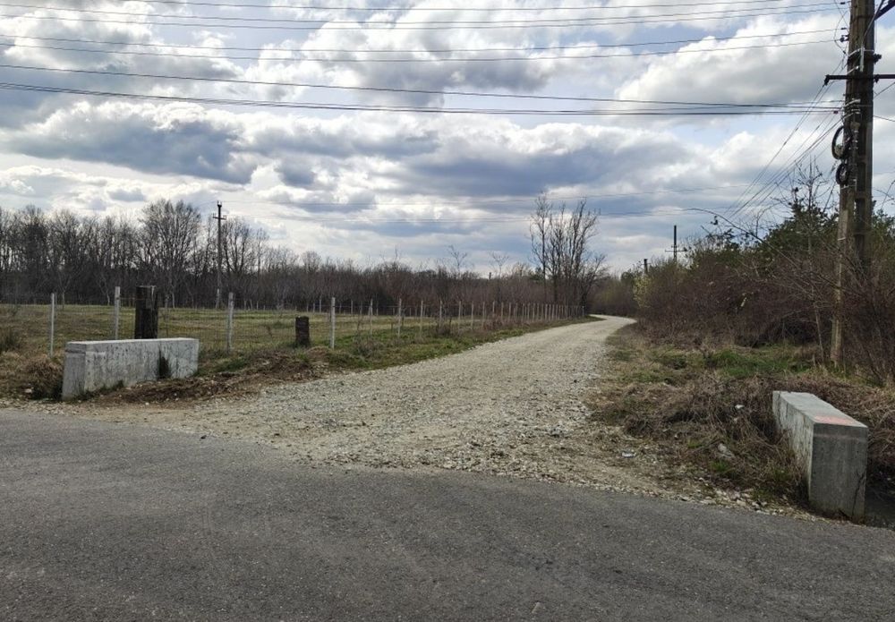 Teren Intravilan 1.472 mp Cotmeana - Lintești, Ag.