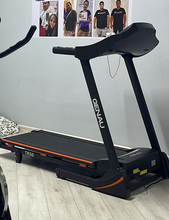 Бегонок. Велик. Холодильник