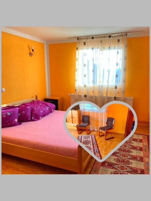 Cabana(Tara Motilor)--Cabana PIN 1000m