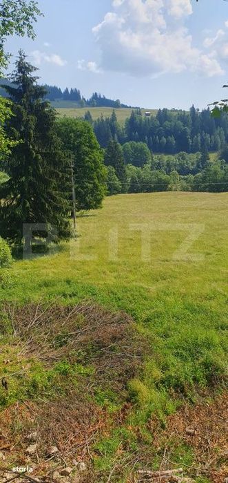 Teren 3.573 mp, intravilan, zona Vatra Dornei