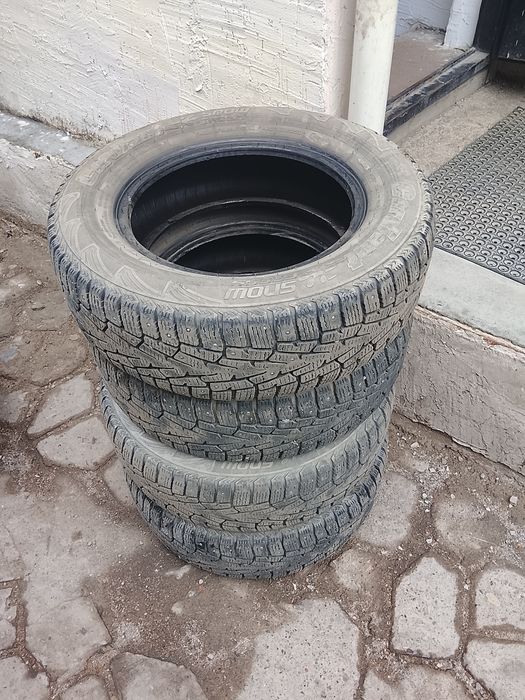 Продам шины зимние шипованные