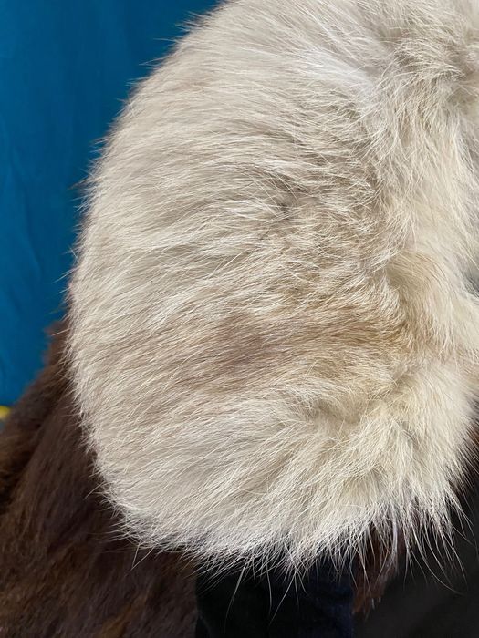 Haina blana naturala, bizam cu guler de vulpe argintie