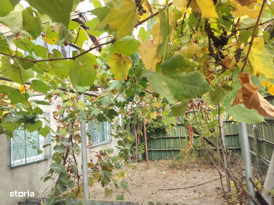 Casa 65 mp, 500 mp curte, 11,30 mp deschidere, Malu Mare